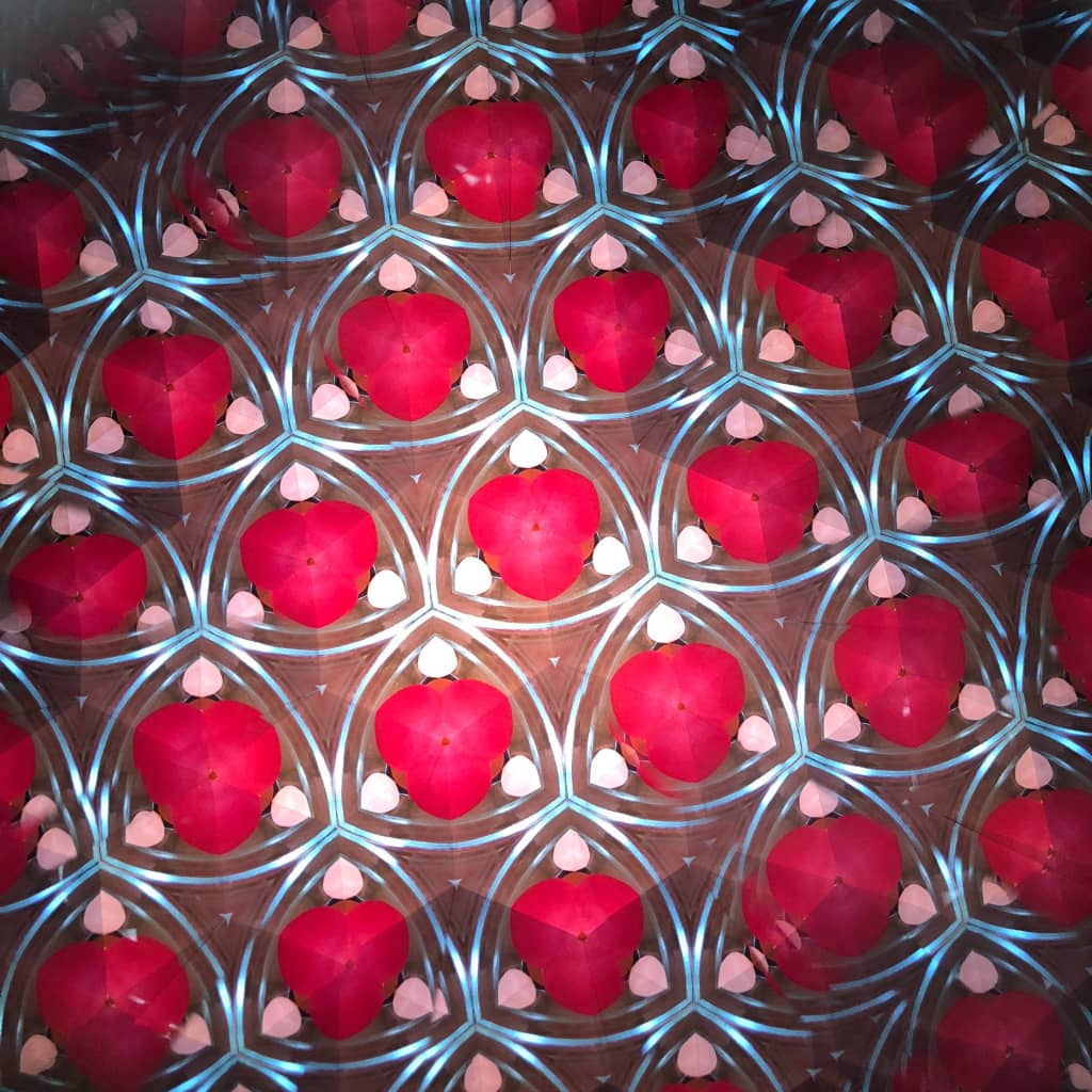 7420-2274e7.jpg