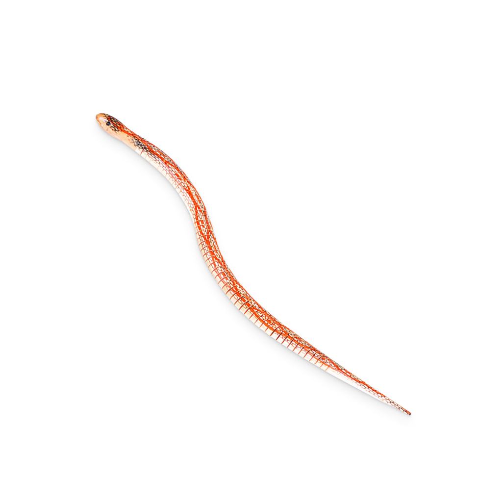 9104-d5e712.jpg